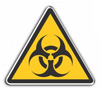 Virusom na nuklearke