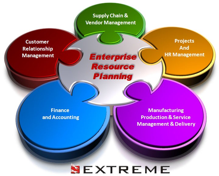microsoft enterprise resource planning competency